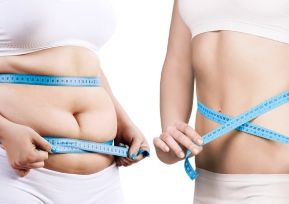 Regulacija telesne težine